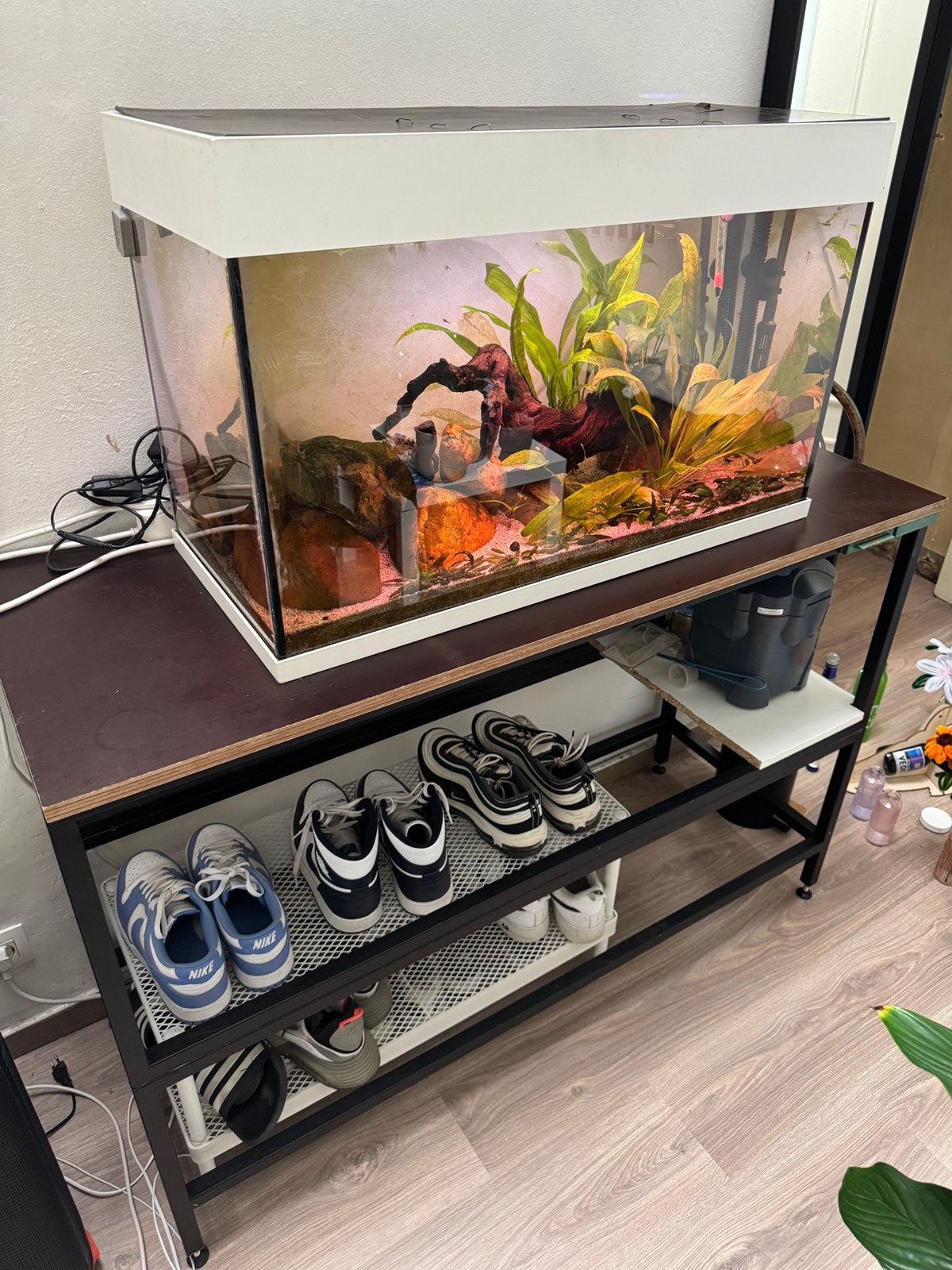 Juwel Rio 125L – compleet of apart te koop, Animaux & Accessoires, Poissons | Aquariums & Accessoires, Utilisé, Aquarium d'eau douce rempli