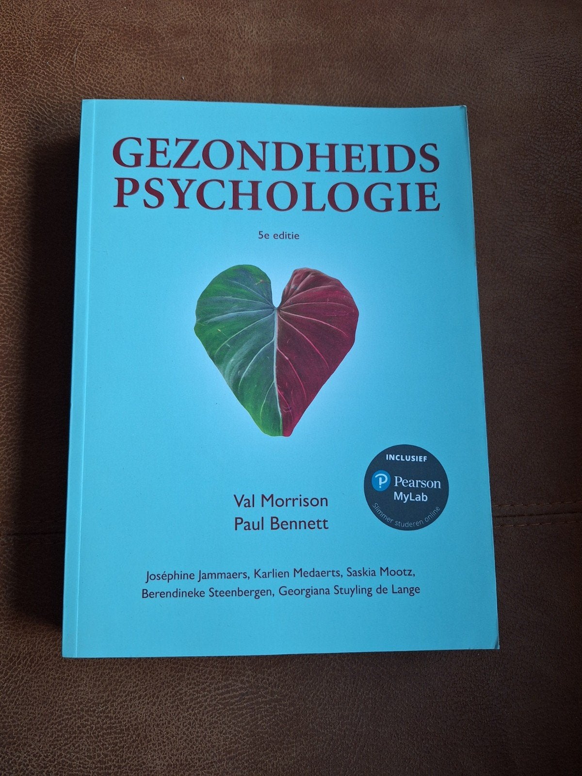 Val Morrison - Gezondheidspsychologie, Nieuw, Ophalen of Verzenden, Val Morrison; Paul Bennett, Overige onderwerpen