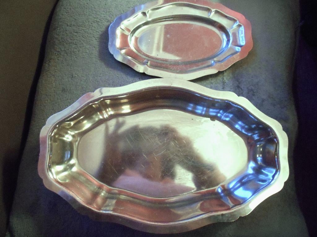 2 plats en inox, Ophalen of Verzenden, Gebruikt, Overige materialen, Overige typen