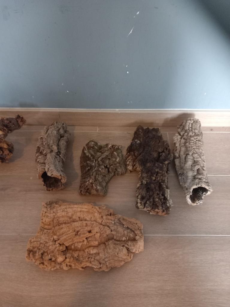 inrichting terrarium, Dieren en Toebehoren, Ophalen