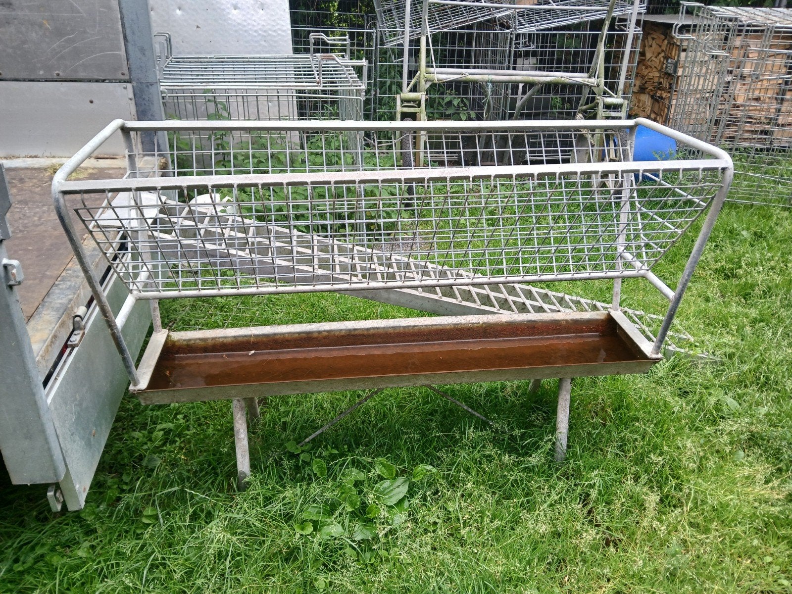 Hooiruif, Dieren en Toebehoren, Schapen, Geiten en Varkens