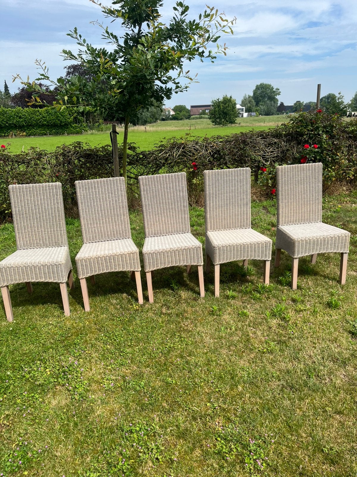Rieten/vlechtwerk tuinstoelen, Ophalen, Zo goed als nieuw, Wicker