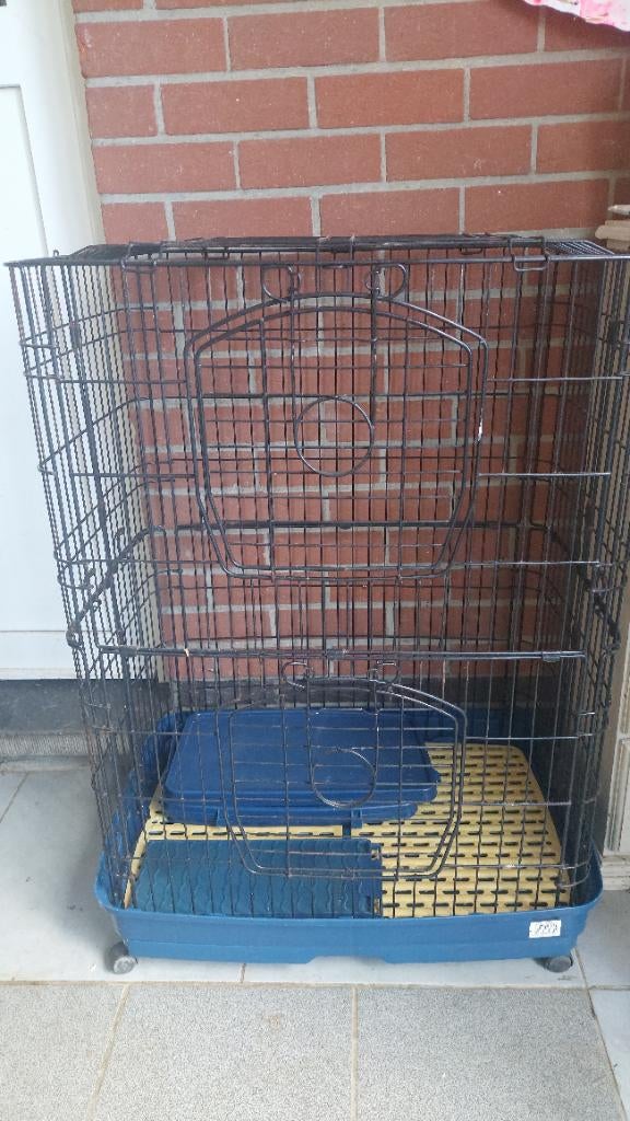 Knaagdieren kooi, Ophalen, Kooi, Minder dan 75 cm, Zo goed als nieuw