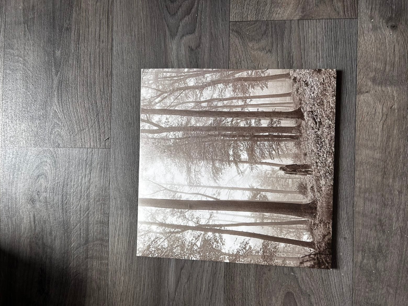 Taylor Swift - Limited Ed. Folklore "In The Trees" Beige 2LP, Cd's en Dvd's, Pop, Originele persing, Ophalen of Verzenden, 12 inch
