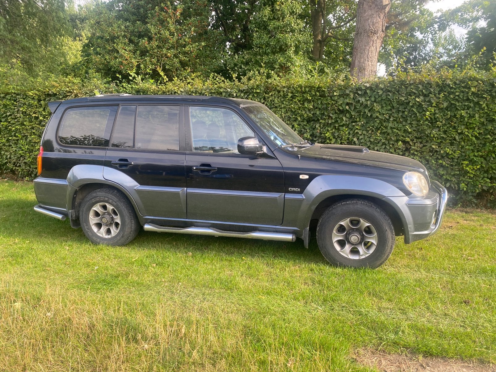 Hyundai Terracan, Auto's, Achterwielaandrijving, 4 cilinders, 700 kg, 2800 kg
