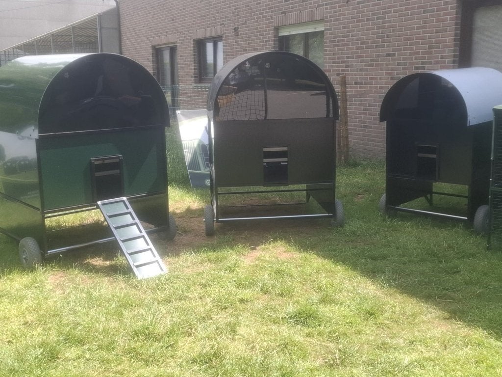 Kippenhokken van de Toekomst, de beste keuze, Ophalen, Nieuw, Kippenhok of Kippenren