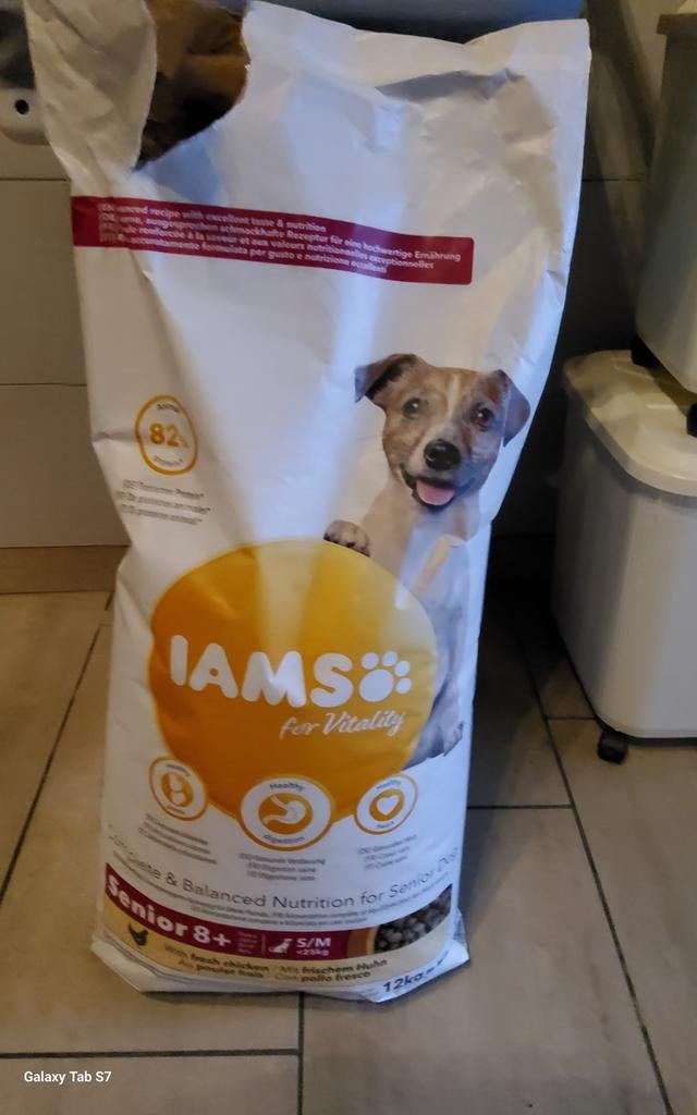 Honden brokken voor een oudere hond, Ophalen, Hond