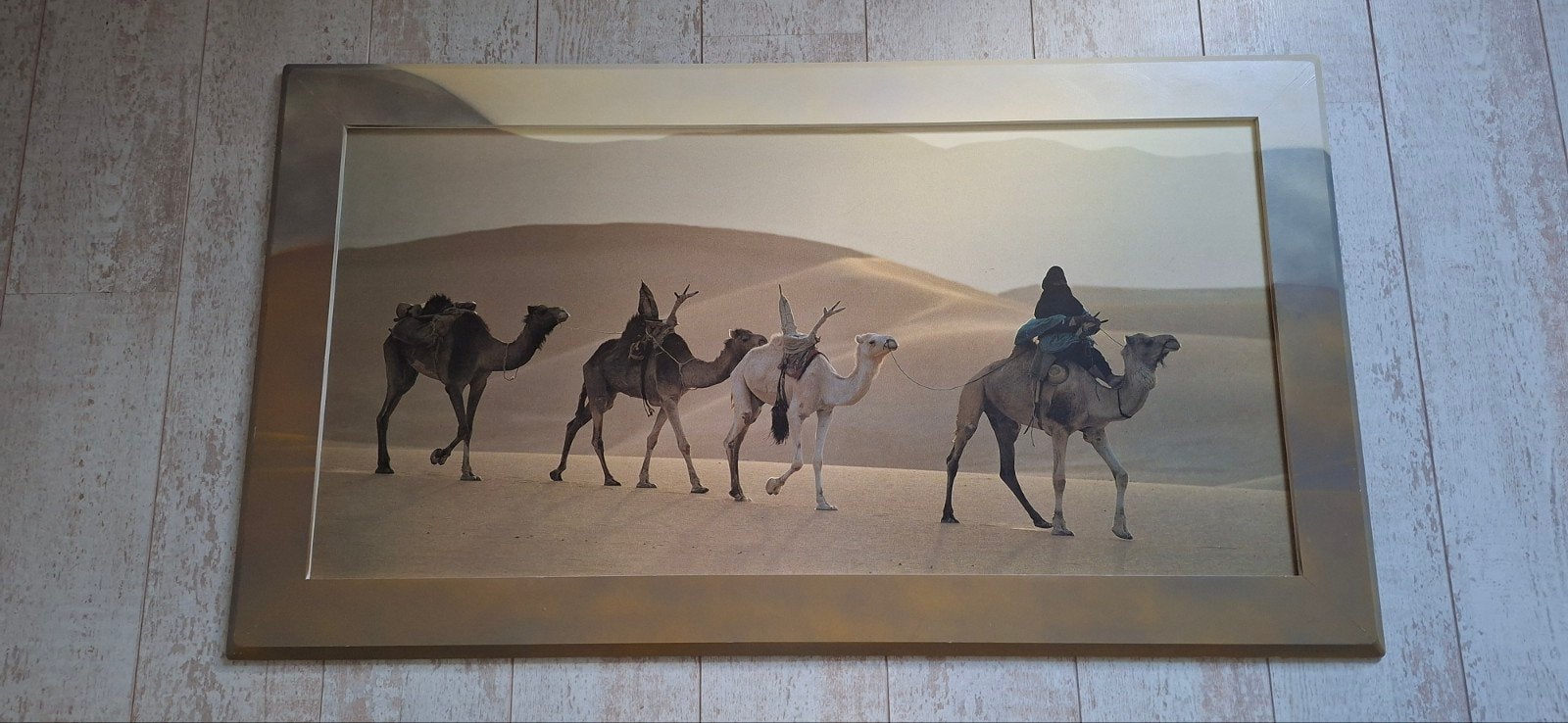 Kader kamelen in woestijn, 112cm x 64cm, Enlèvement