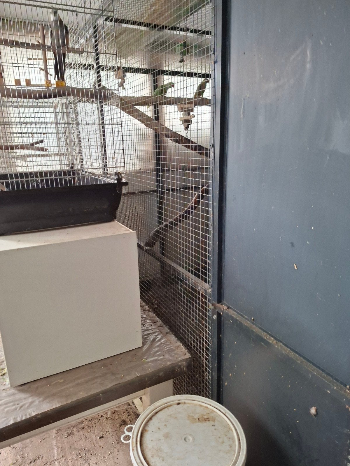 volière donkergrijs gelakt, Animaux & Accessoires, Oiseaux | Cages & Volières, Enlèvement, Comme neuf, Aluminium, Volière