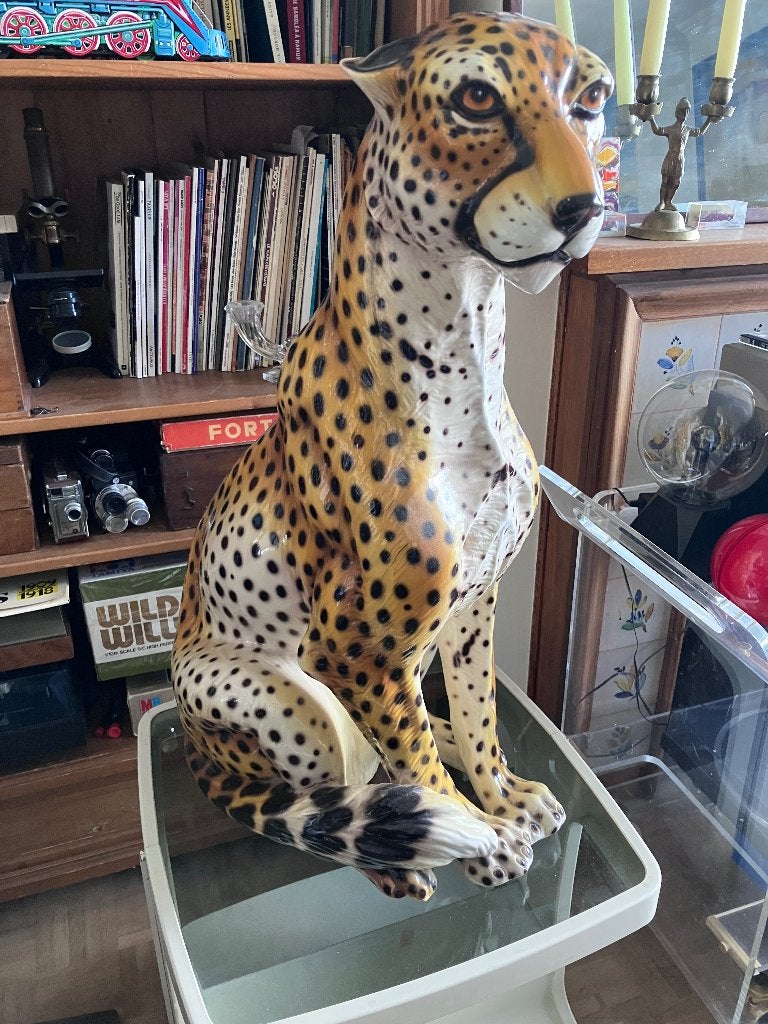 Céramique Leopard, Enlèvement
