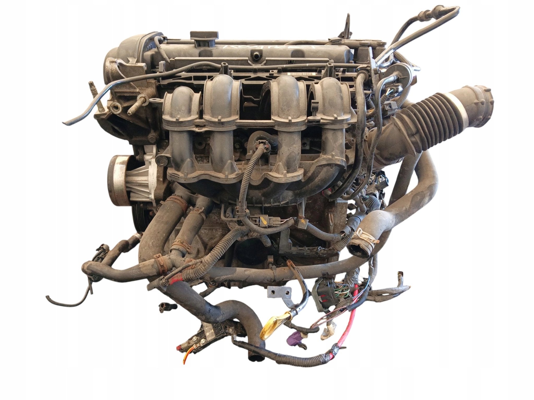 Moteur STJB Complet FIESTA FORD, Envoi, Utilisé, Skoda
