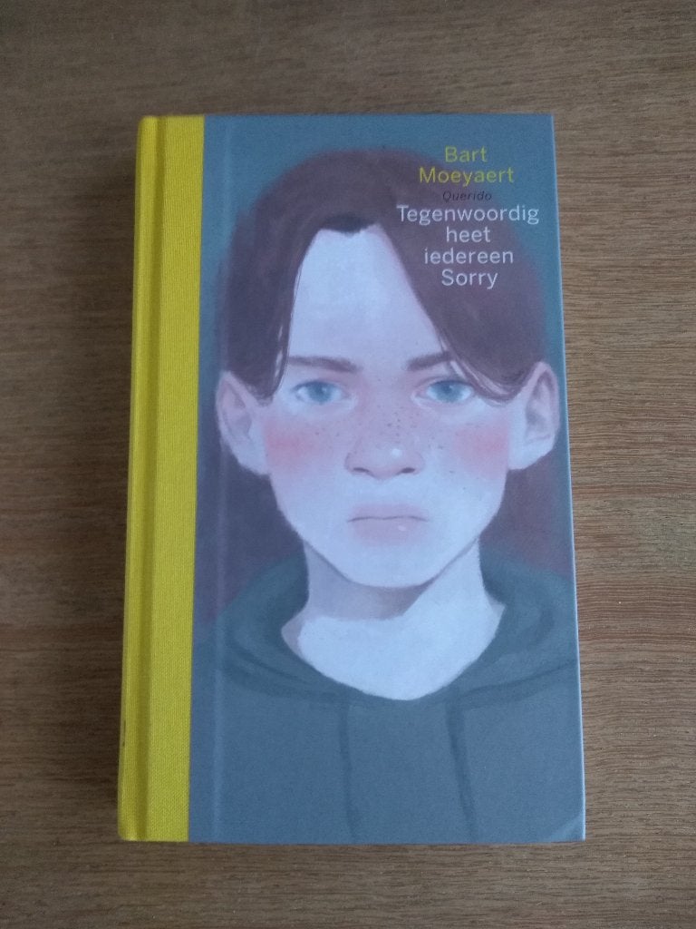 BART  MOEYAERT  /  Tegenwoordig heet iedereen Sorry, Enlèvement, Neuf
