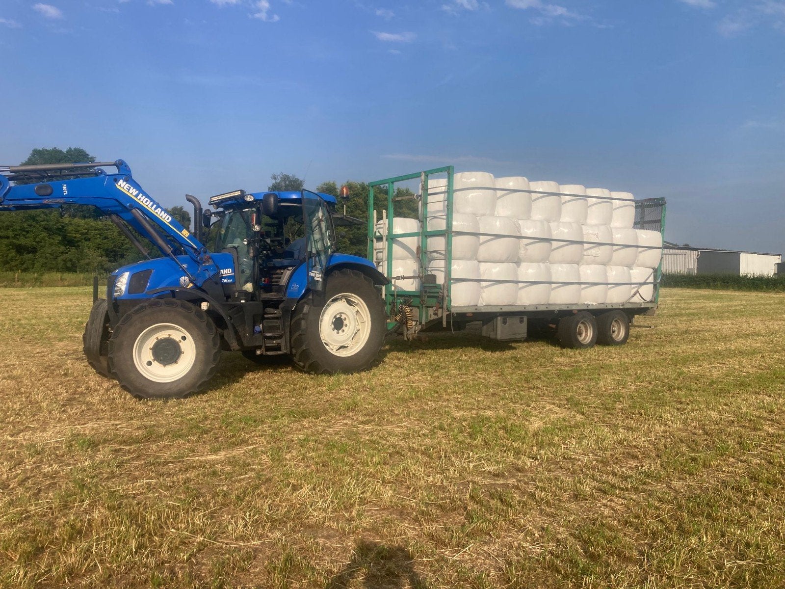 Handel in voordroog, hooi en stro in verschillende formaten., Dieren en Toebehoren, Dierenvoeding, Ophalen