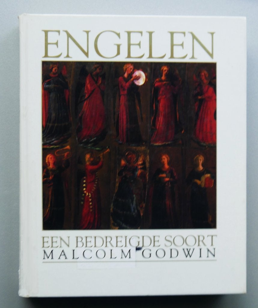 Engelen – Een bedreigde soort, Boeken, Ophalen of Verzenden