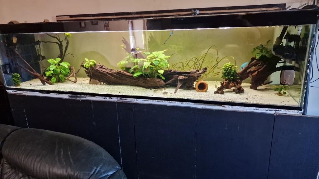 Aquarium 1000l, Enlèvement