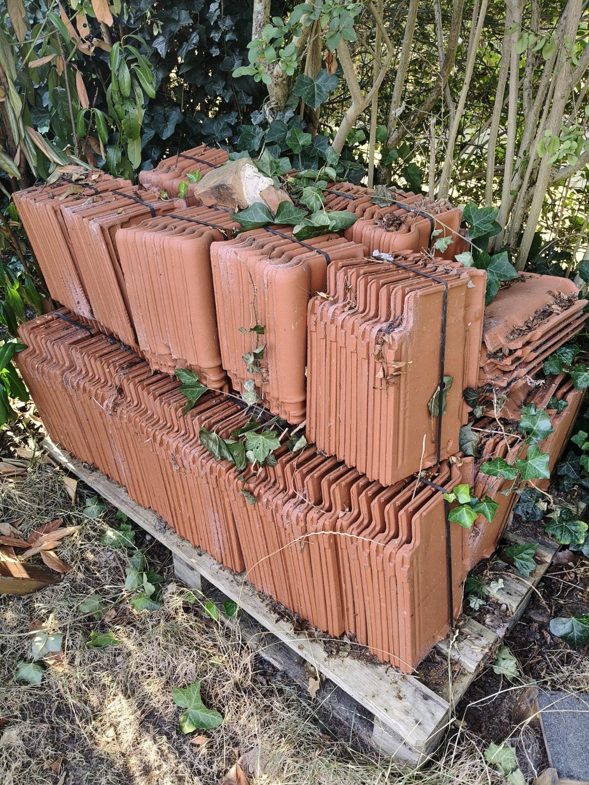 Stormpan Dakpan Terracota, Doe-het-zelf en Bouw, Dakpannen en Dakbedekking, Ophalen, Steen of Klei, Nieuw, Dakpannen