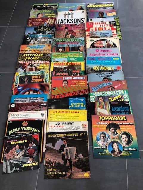 langspeelplaten divers Acordeonmuziek, Ophalen, Gebruikt, LP