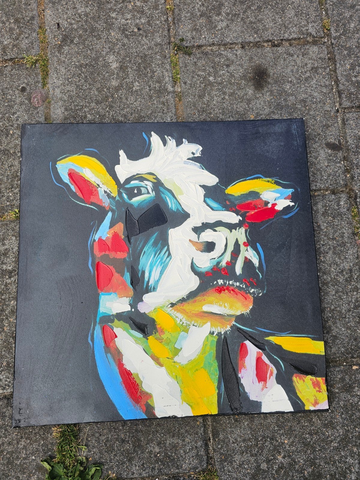 Peinture de vache colorée peinte à la main - 50x50 cm, Enlèvement