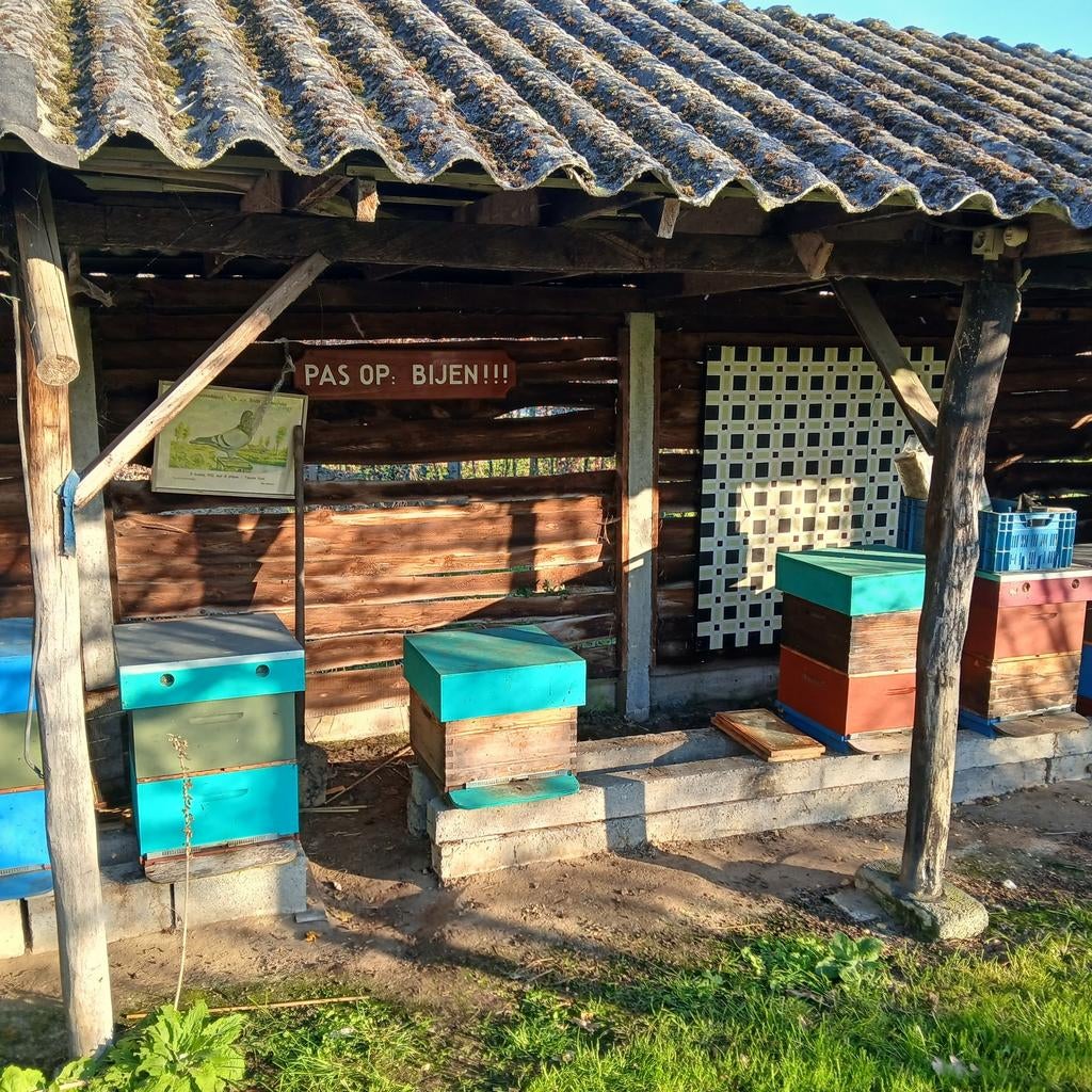 Carnica bijen 2x 11 ramer, Abeilles