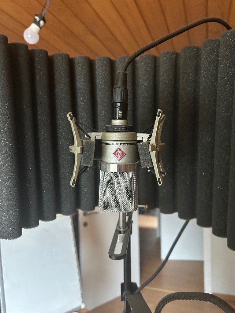 Neumann tlm 102 + SE Electronics Reflexion Filter, Musique & Instruments, Microphones, Enlèvement, Comme neuf, Micro studio
