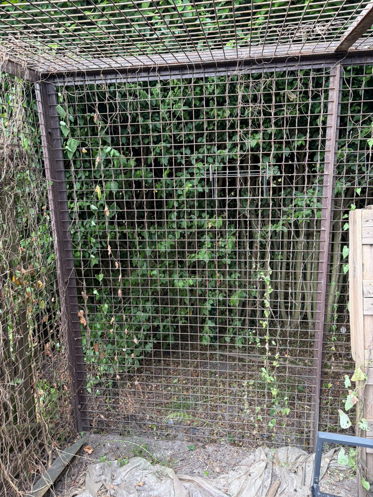 Staalroosters - geschikt voor dierenhok of opslag, Jardin & Terrasse, Jardin & Terrasse Autre, Enlèvement, Utilisé