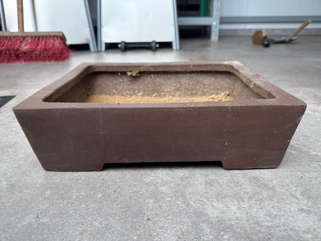 Mooie grote bonsai schaal in top staat!, Ophalen, Zo goed als nieuw, Vierkant, Tuin