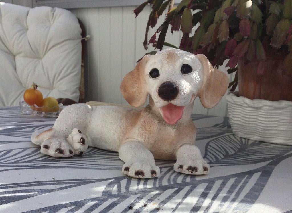 Chien Labrador, Comme neuf