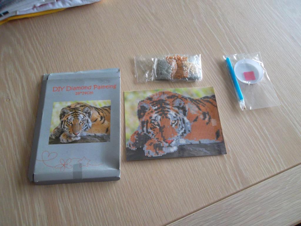 DIY Diamond Painting, Hobby en Vrije tijd, Ophalen of Verzenden, Nieuw, Knutselwerk