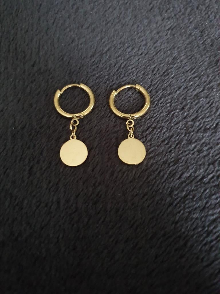 Nieuwe goudkleurige oorbellen in edelstaal, Ophalen of Verzenden, Nieuw, Goud, Hangers