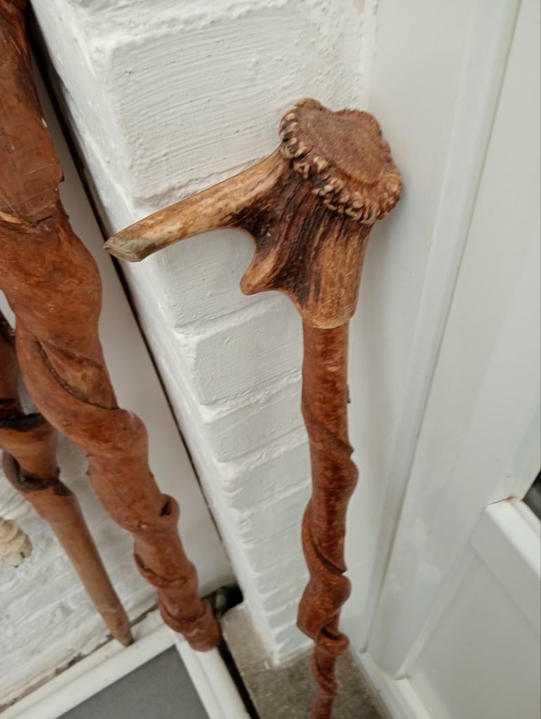 Canne tortueux  93 cm