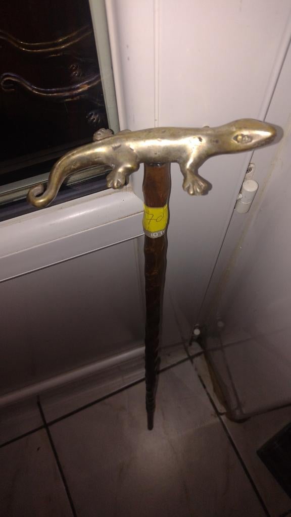 Canne ( lézard ( salamandre ), Antiquités & Art