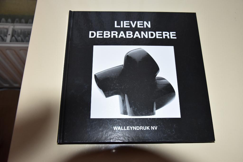 Lieven Debrabandere  Walleyndruk NV, Verzenden, Zo goed als nieuw, Beeldhouwkunst