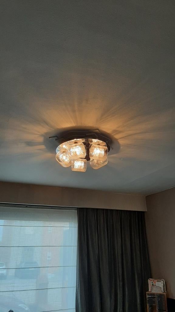 Plafond lampen op mooie zilveren schotel met glazen omhulsel, Ophalen of Verzenden, Zo goed als nieuw