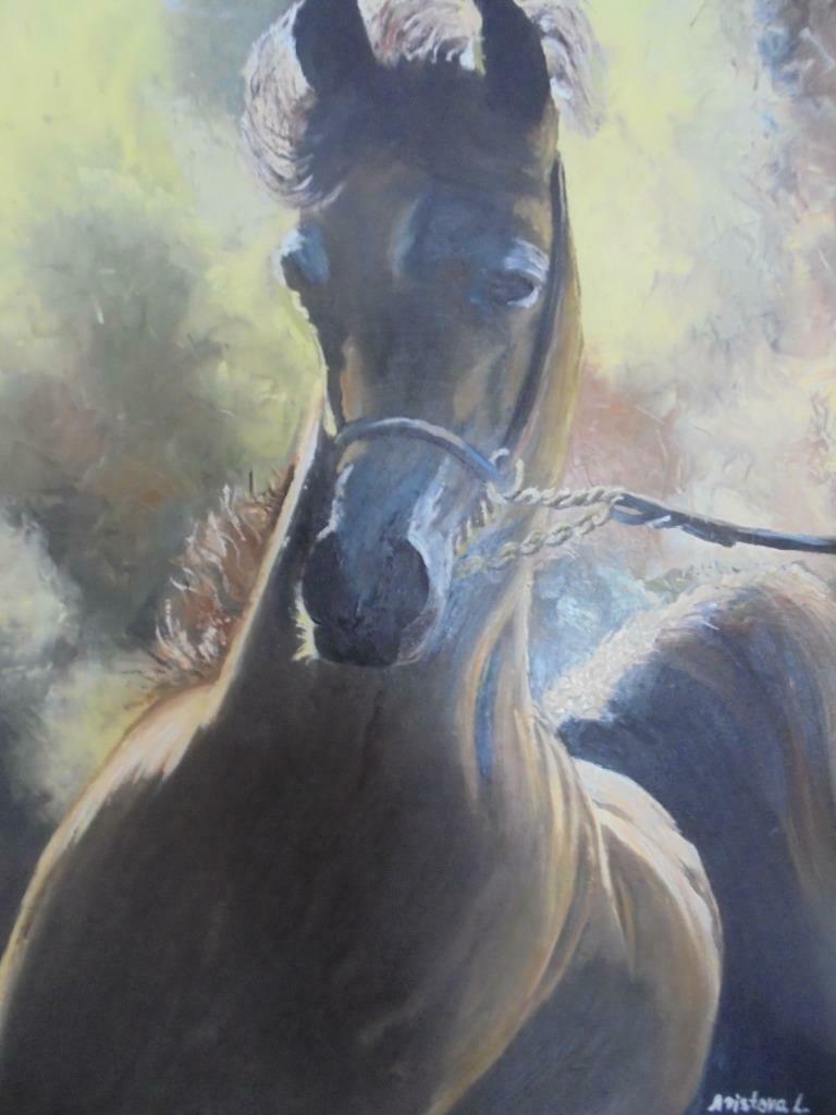 faire réaliser une peinture à l'huile sur commande (cheval), Enlèvement ou Envoi