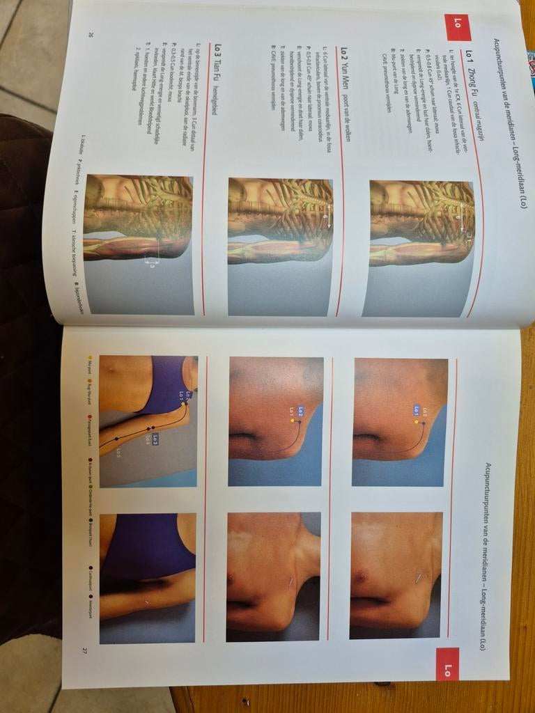Acupunctuur, Boeken, Ophalen