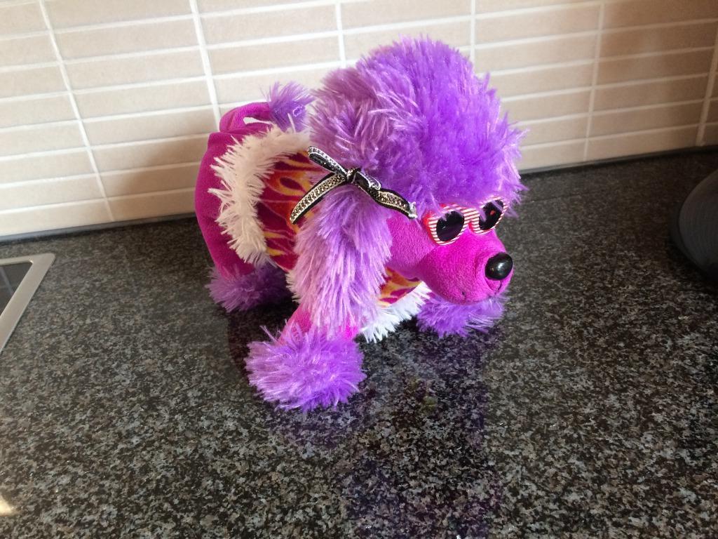Mooie knuffel hond, Enlèvement, Neuf, Chien