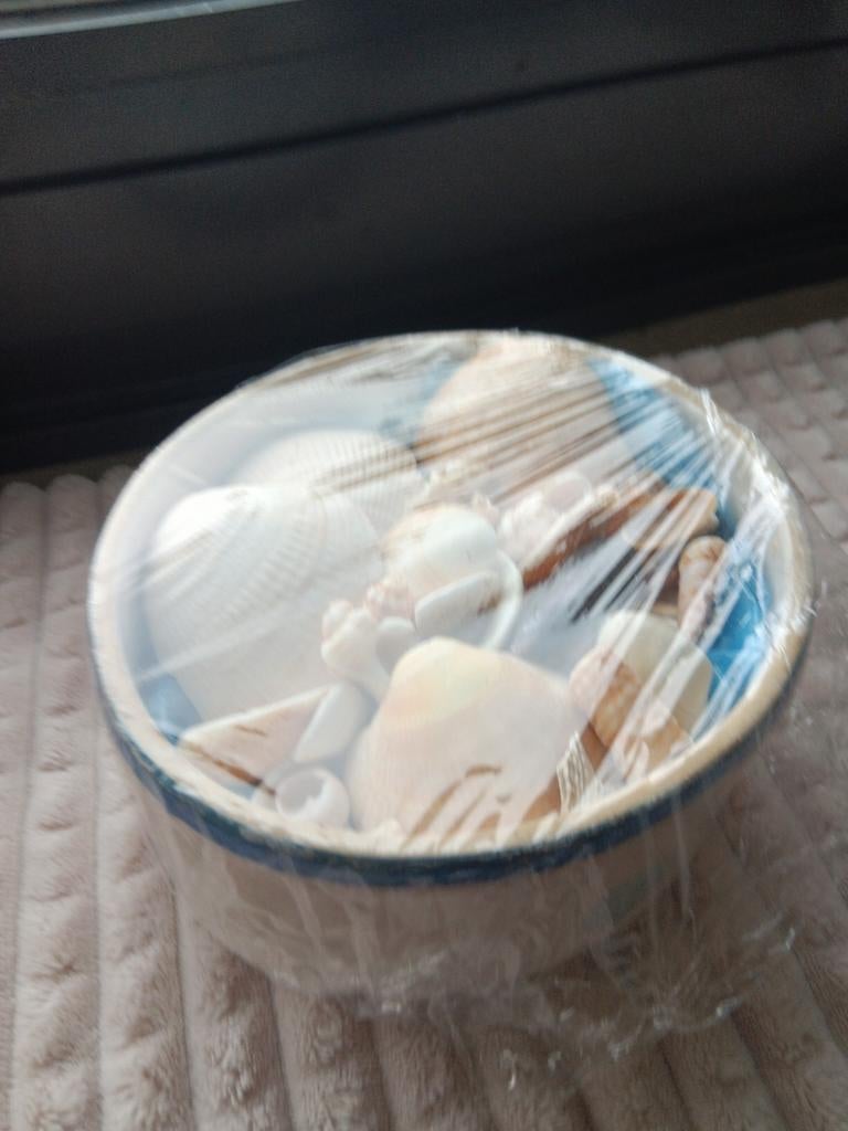 Bakje met mooie schelpen, Ophalen of Verzenden, Zo goed als nieuw