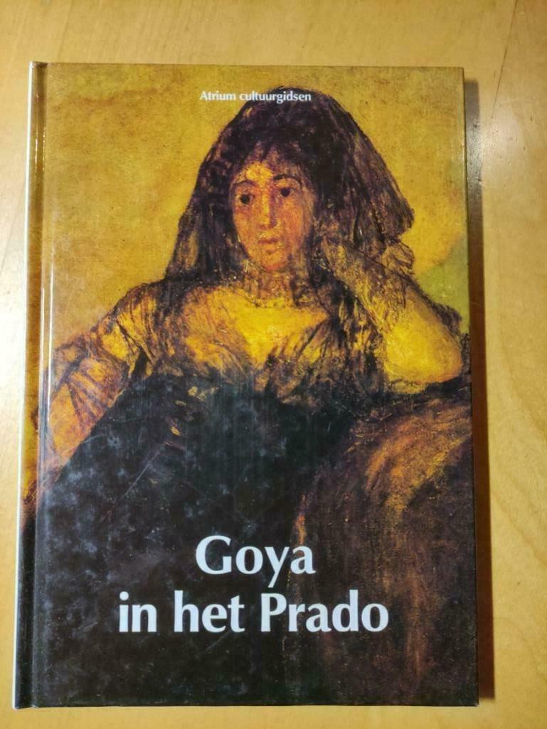 Goya in het Prado, Ophalen of Verzenden, Zo goed als nieuw