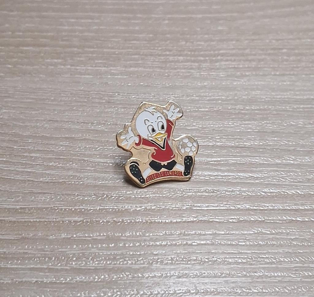 PIN - ALLEZ LES CANARDS - FOOTBALL - VOETBAL, Verzenden, Gebruikt, Sport, Speldje of Pin