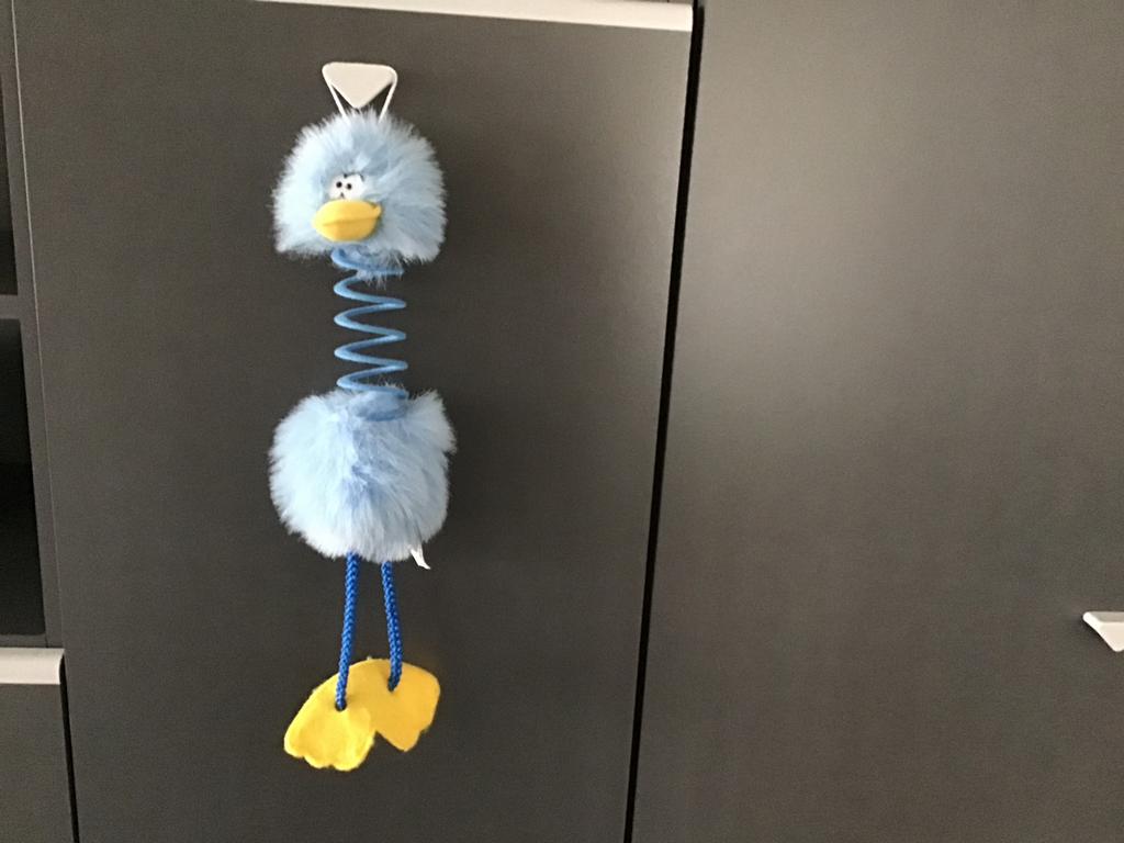 Eend om aan de kast te hangen, Ophalen of Verzenden, Zo goed als nieuw, Eend