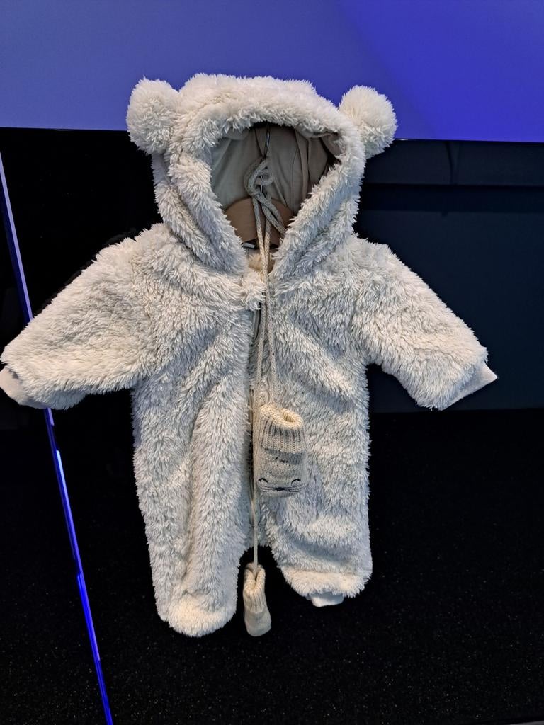 Costume d'ours taille 56, Enlèvement