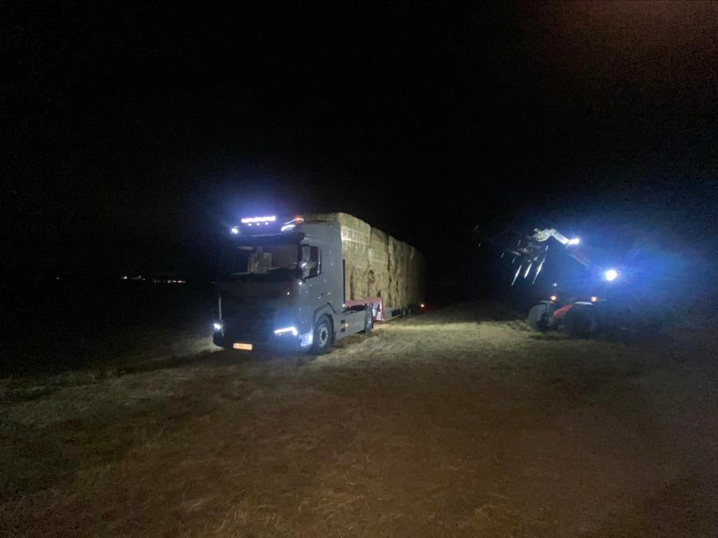 Stro; hooi, Dieren en Toebehoren, Paarden