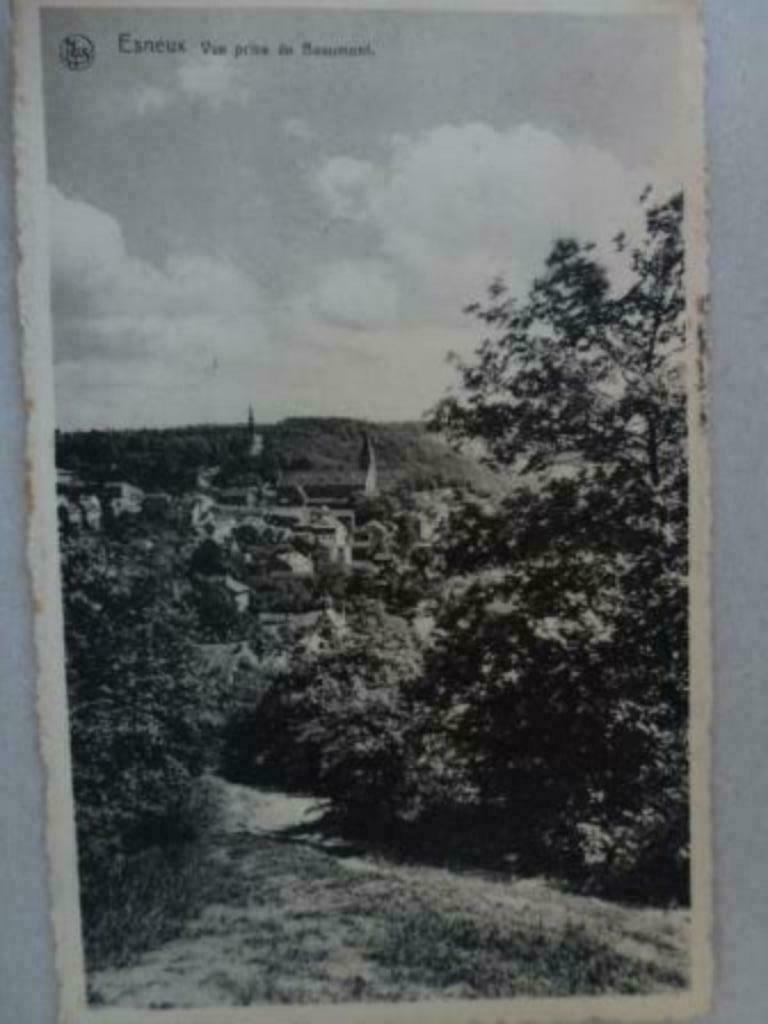 Esneux vue prise de Beaumont, Collections, Envoi, Affranchie, Liège