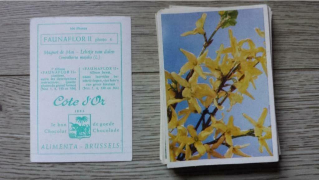 Côte d'Or - Faunaflor II - Alimenta-Brussels - Chocolat, Enlèvement ou Envoi, Utilisé, Cartes en vrac