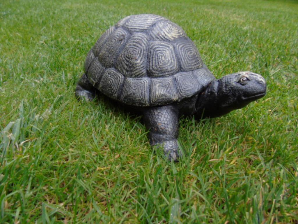 Standbeeld van een schildpad in gietijzer in kleuren..., Tuin en Terras, Tuinbeelden, Nieuw, Dierenbeeld, Metaal, Ophalen