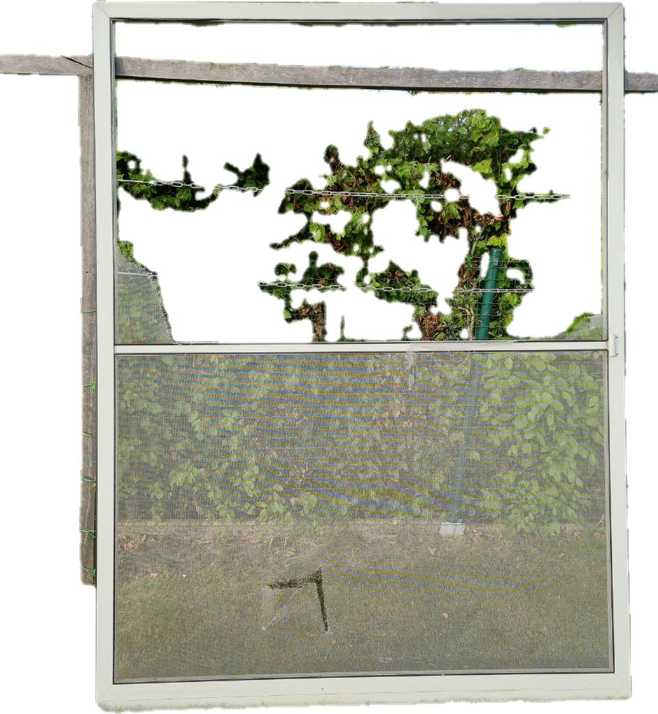 Fenêtre moustiquaire, Porte moustiquaire, Enlèvement, Utilisé, 215 cm ou plus