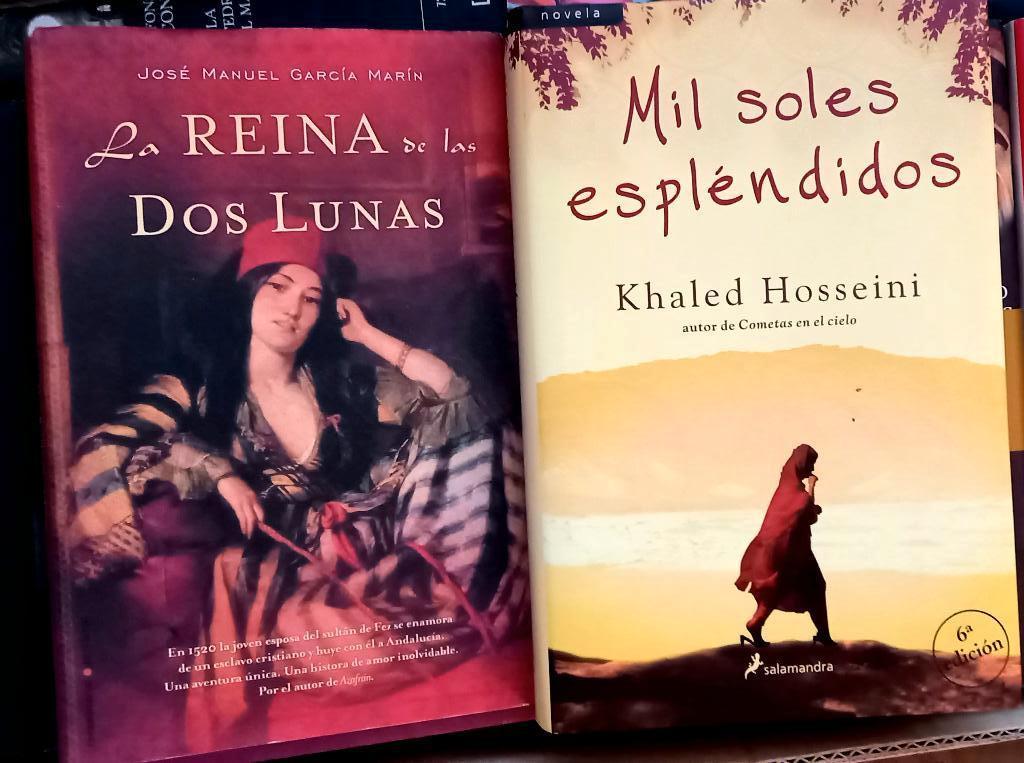 romans en espagnol, Boeken, Taal | Spaans, Gelezen, Ophalen of Verzenden, Fictie, Divers auteurs