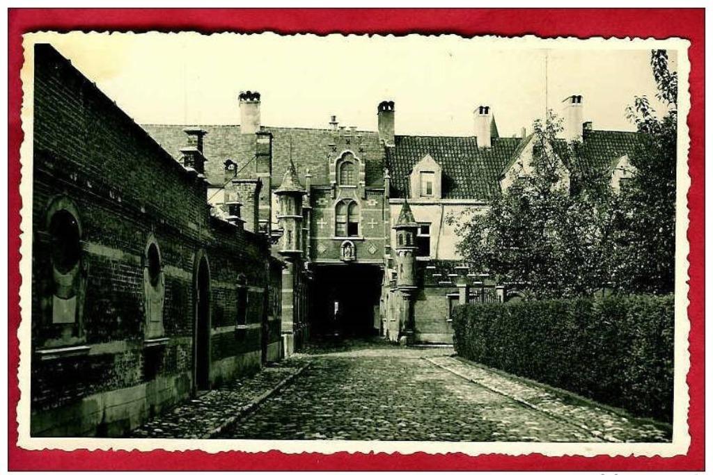 Fotokaart Gevaert (8,5x13cm) Antwerpen Begijnhof Roodestraat, Enlèvement ou Envoi, 1940 à 1960, Non affranchie, Anvers