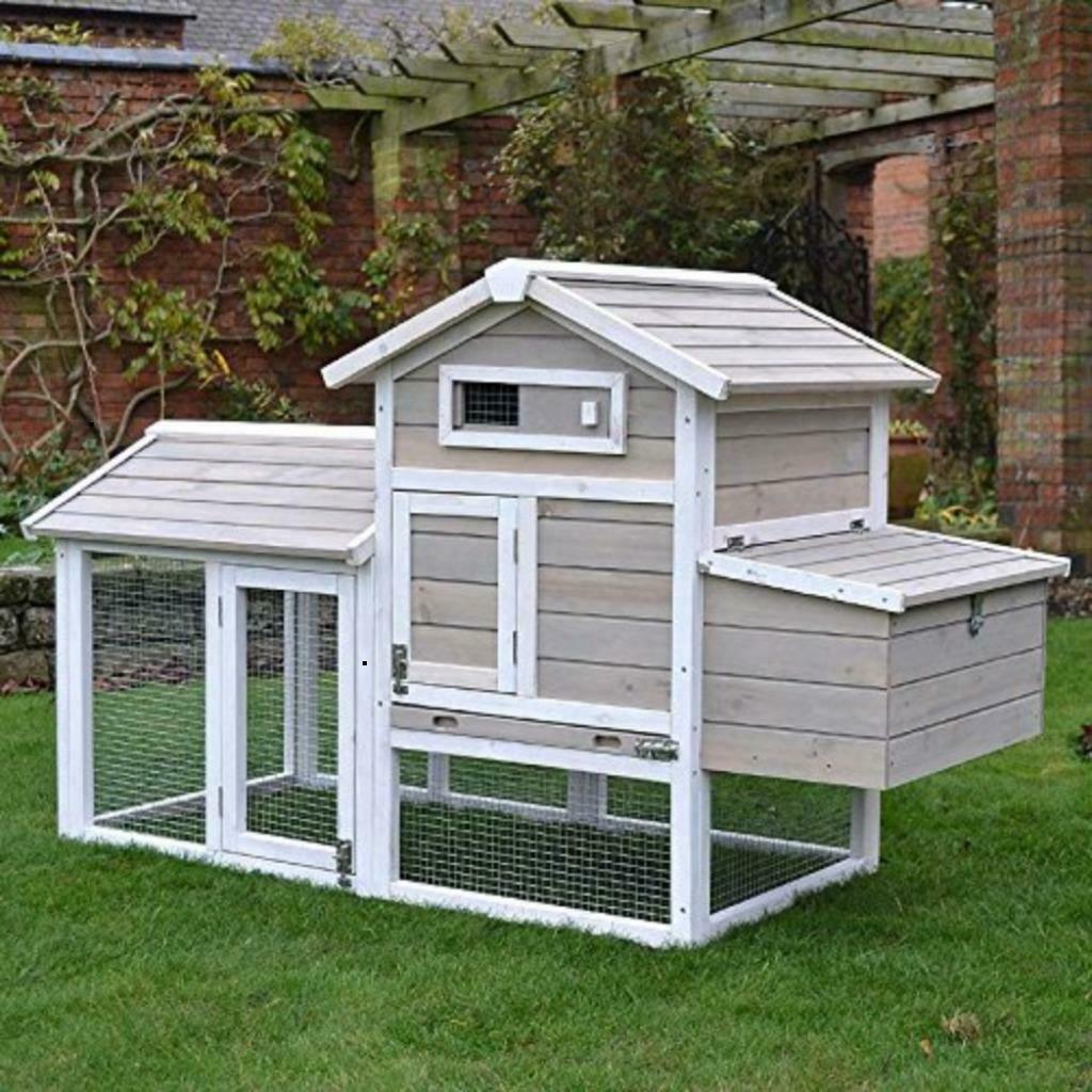 Poulailler PAU abri poule maison poule jardin coq caille XXL, Envoi, Neuf, Poulailler