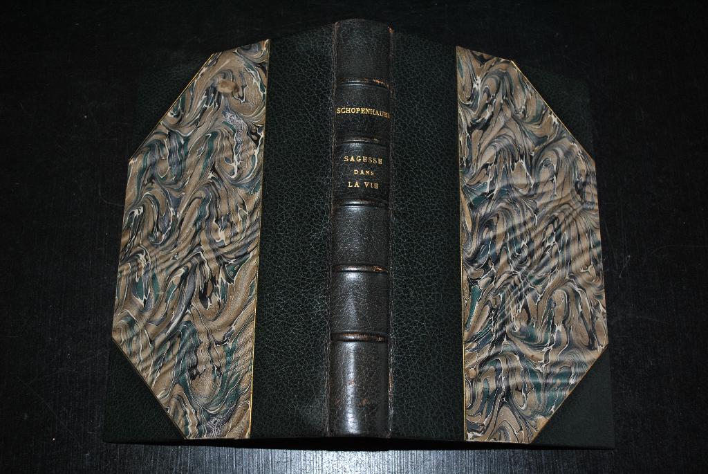 Arthur SCHOPENHAUER Aphorismes sur la sagesse dans la vie, Ophalen of Verzenden, Gelezen, Arthur SCHOPENHAUER